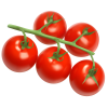 Vine Tomatoes